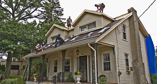 Best Roof Gutter Cleaning  in East Rochester, NY